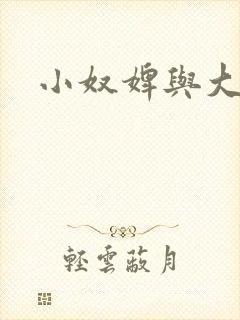 小奴婢与大少爷