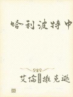 哈利波特中文版