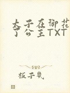 太子在御花园要了公主TXT封面