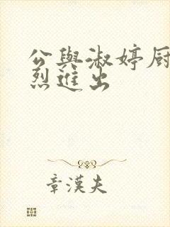 公与淑婷厨房猛烈进出