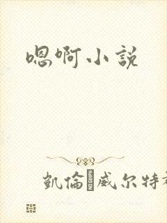 嗯啊小说