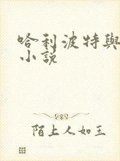 哈利波特与密室小说