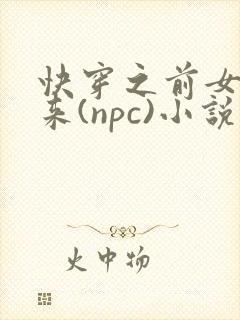 快穿之前女友归来(npc)小说免费阅读