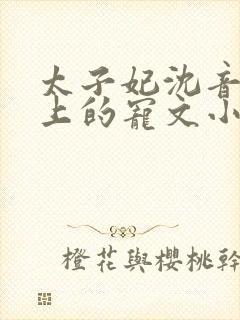 太子妃沈音和皇上的宠文小说