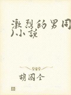激烈的男同(h)小说