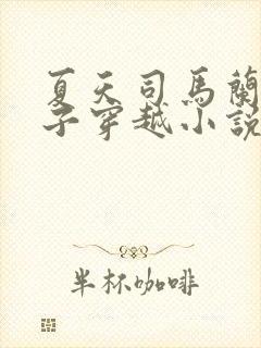 夏天司马兰九皇子穿越小说笔趣阁