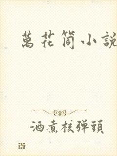万花筒小说