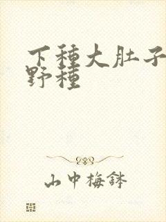 下种大肚子怀孕野种