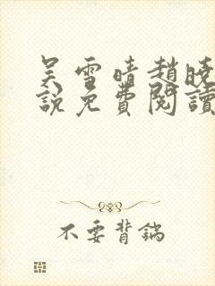 吴雪晴赵晓东小说免费阅读封面