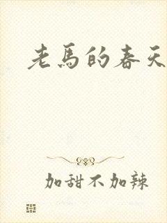 老马的春天封面