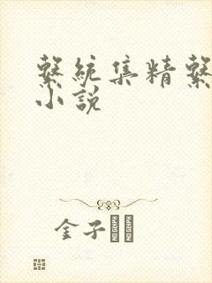 系统集精系统 小说