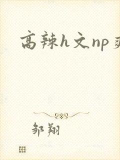 高辣h文np爽