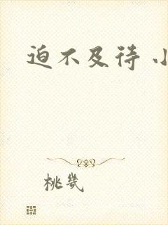 迫不及待 小穴