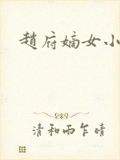 赵府嫡女小说