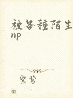 被各种陌生人 np