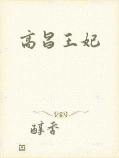 高昌王妃封面