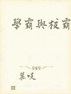 学霸与校霸