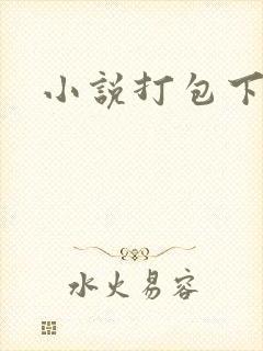 小说打包下载