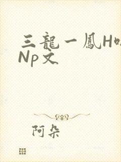 三龙一凤H啪肉Np文