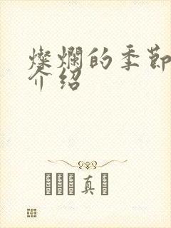 灿烂的季节剧情介绍封面