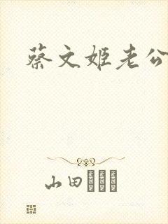 蔡文姬老公