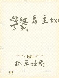 超级岛主txt下载