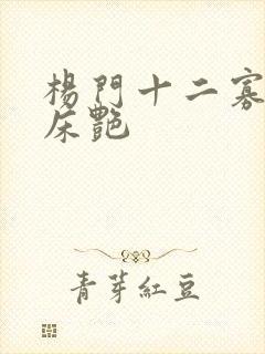 杨门十二寡妇肉床艳
