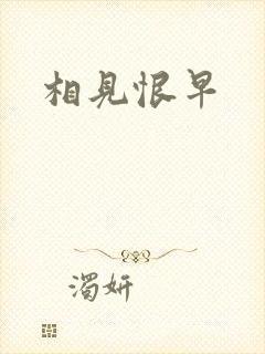 相见恨早封面