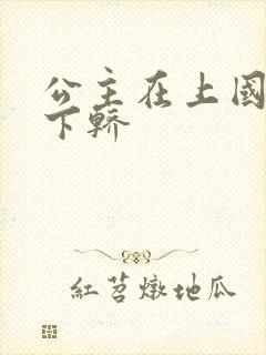 公主在上国师请下轿