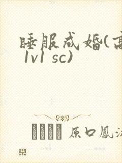 睡服成婚(高h 1v1 sc)