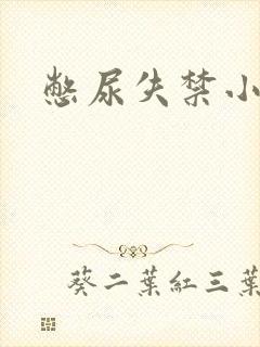 憋尿失禁小说