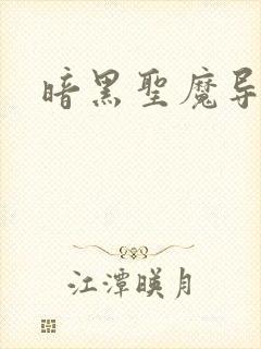 暗黑圣魔导