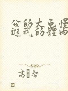 公的大龟慢慢挺进我的体内