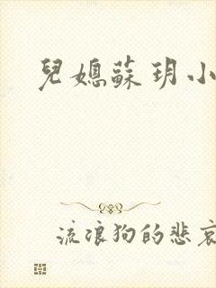儿媳苏玥小说