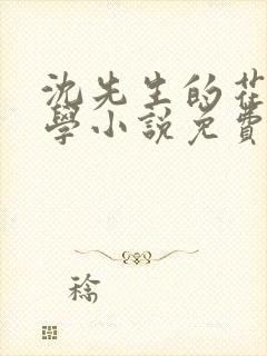 沈先生的花式教学小说免费封面