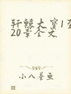 轩辕大宝1至720章全文