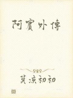 阿宾外传