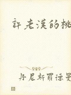 许老汉的桃花运