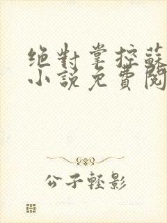 绝对掌控苏绵绵小说免费阅读全文