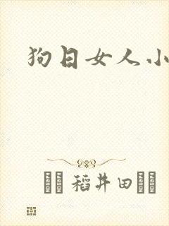 狗日女人小说