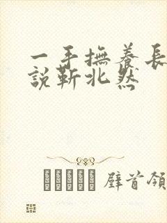 一手抚养长大小说靳北然封面