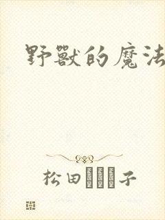 野兽的魔法师