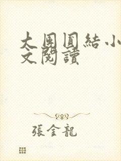 大团圆结小茹全文阅读