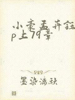 小豪孟卉钰慧三p上79章封面