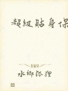 超级贴身保镖封面