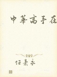 中华高手在异世