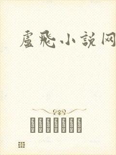 卢飞小说网