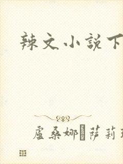 辣文小说下载