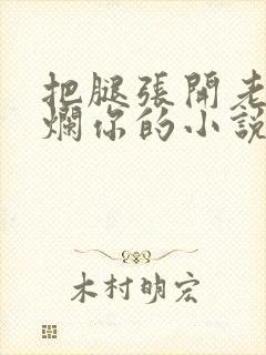把腿张开老子臊烂你的小说