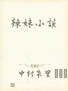 辣妹小说